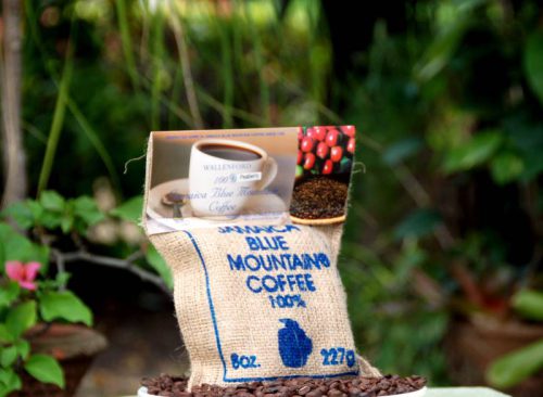 Wallenford Blue Mountain Coffee